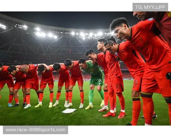 大鹅在足球领域的崛起与辉煌 成为全球球迷关注的焦点